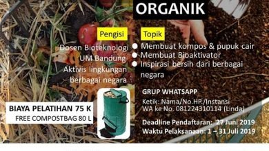 Pusat Kajian Limbah UMBandung Gelar Pelatihan Online Mengolah Sampah Organik Pusat Kajian Limbah UMBandung Gelar Pelatihan Online Mengolah Sampah Organik