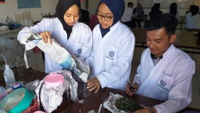 Mahasiswa Farmasi UM Bandung Formulasikan Daun Cincau Hijau sebagai Kapsul Anti Implamasi