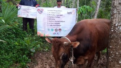 LazisMU Kab. Tasikmalaya Tebar Kurban di Kampung Minoritas Muslim LazisMU Kab. Tasikmalaya Tebar Kurban di Kampung Minoritas Muslim
