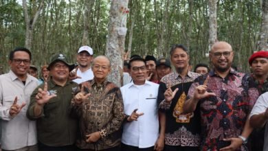 Ketua PP Muhammadiyah Anwar Abbas Bersama KSP Jenderal (Purn) Moeldoko Lakukan Simulasi Alat Sadap Karet Mercu Biotech