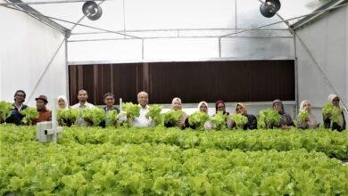 Green House UM Bandung Jadi Pusat Pembelajaran dan Inovasi Agribisnis
