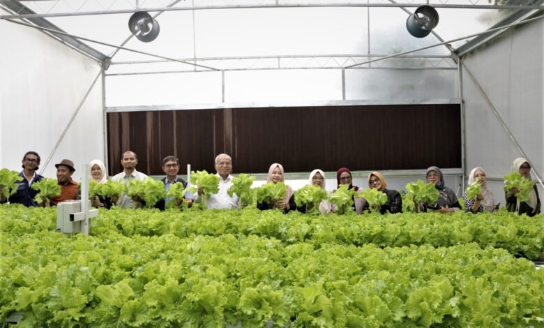 Green House UM Bandung Jadi Pusat Pembelajaran dan Inovasi Agribisnis Green House UM Bandung Jadi Pusat Pembelajaran dan Inovasi Agribisnis